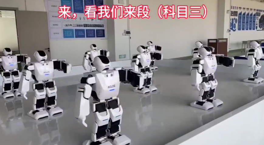 视频展示