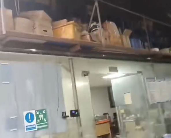 视频展示